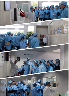 聚享绿色能源，共筑智能未来——SMA扬中工厂开放日活动圆满落幕