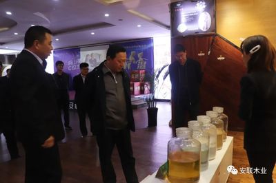 聚焦绿色智造 共谋高质量发展新篇章——徐州市委副书记深入安联木业调研指导工作